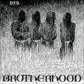 DYS 'Brotherhood' 40th Anniversary Edition