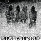 DYS 'Brotherhood' 40th Anniversary Edition