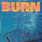 Burn '...From The Ashes'